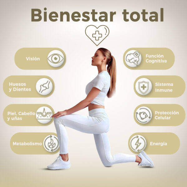 MULTIVITAMIN COMPLEX+ <a style="font-size:16px;"> Vitaminas y Minerales  <br>60 cápsulas</a> - Imagen 3